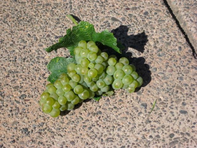 Pearlessence Vineyard Inn Sebastopol Zewnętrze zdjęcie